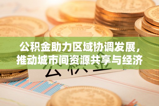 赣州公积金助力区域协调发展，推动城市间资源共享与经济均衡发展