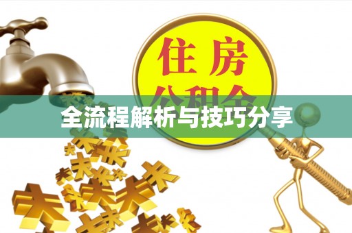 赣州全流程解析与技巧分享